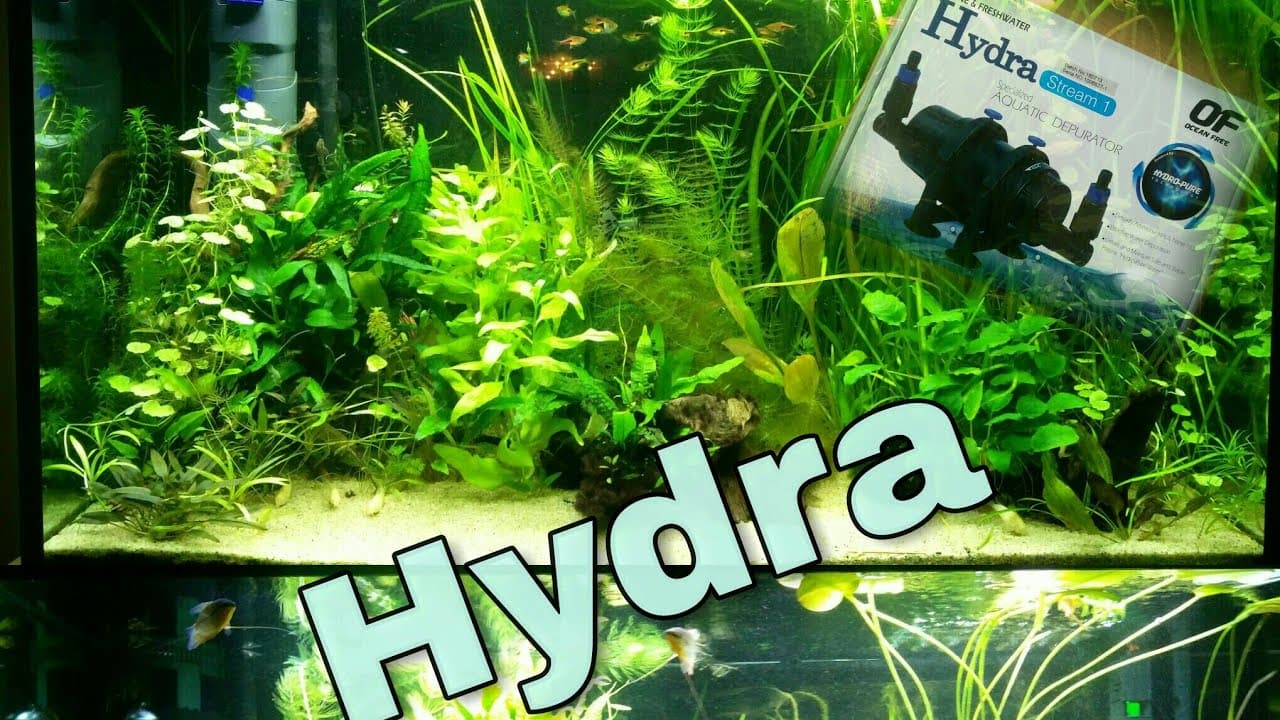 Hydra filter, wat is en doet het? 17