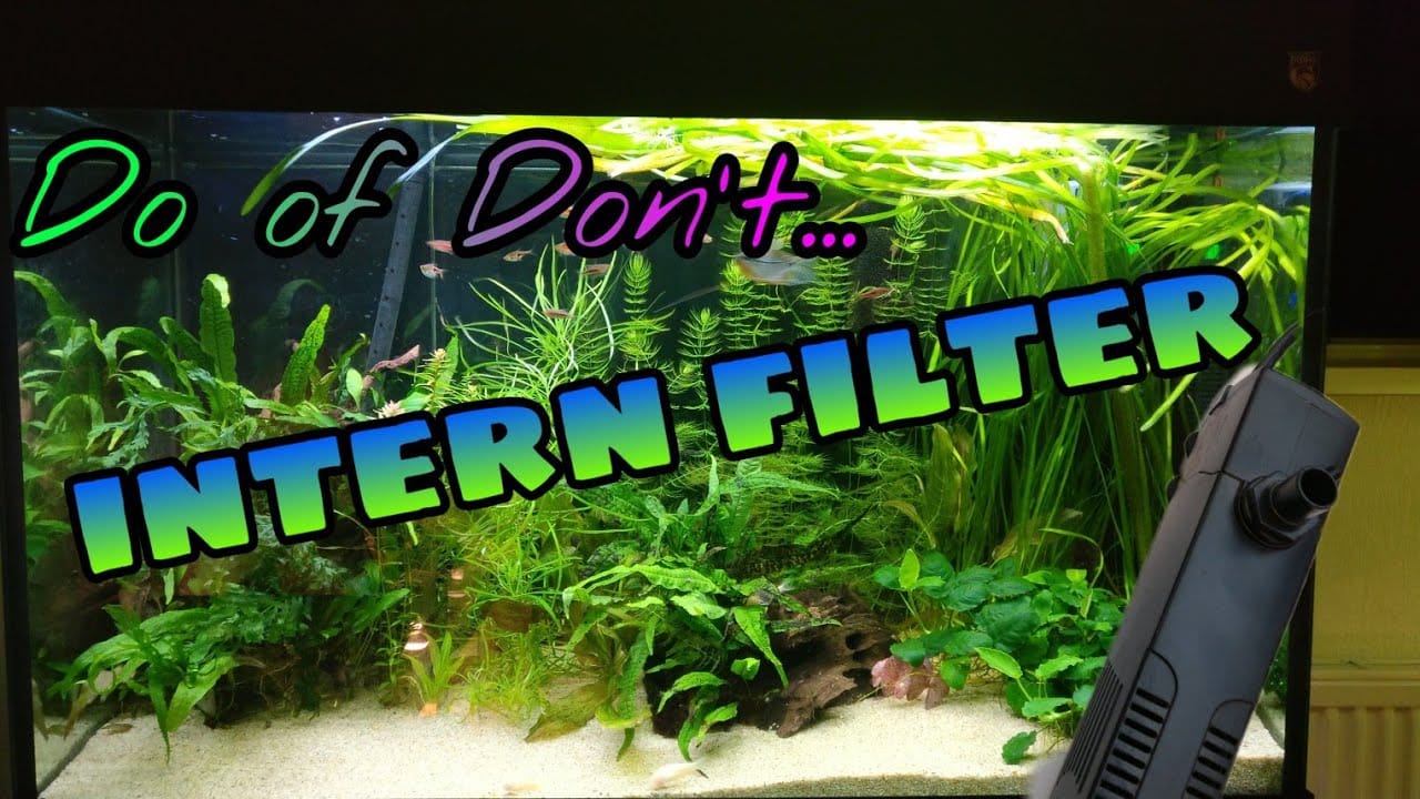 Interne filters in een aquarium 4