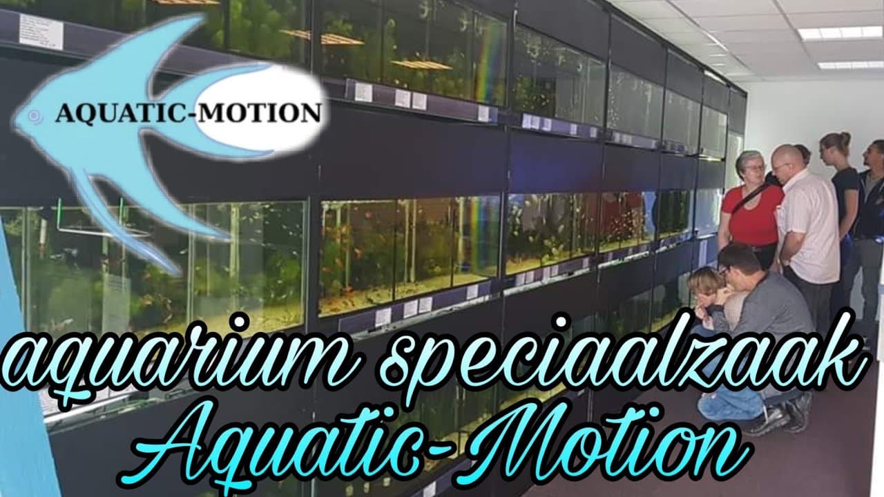 Aquatic-Motion 2