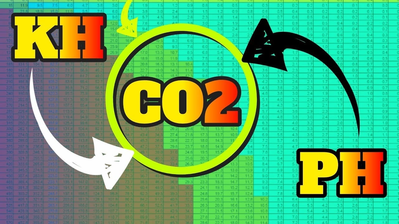 CO2 testen 3