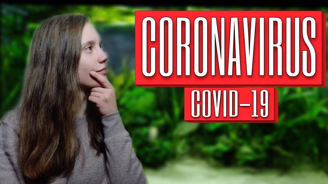 Coronavirus 17