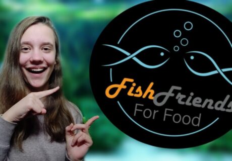 FishFriends For Food 2